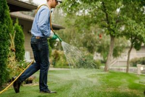 Professional Lawn Mowing Made Simple: Perfectly Pruned